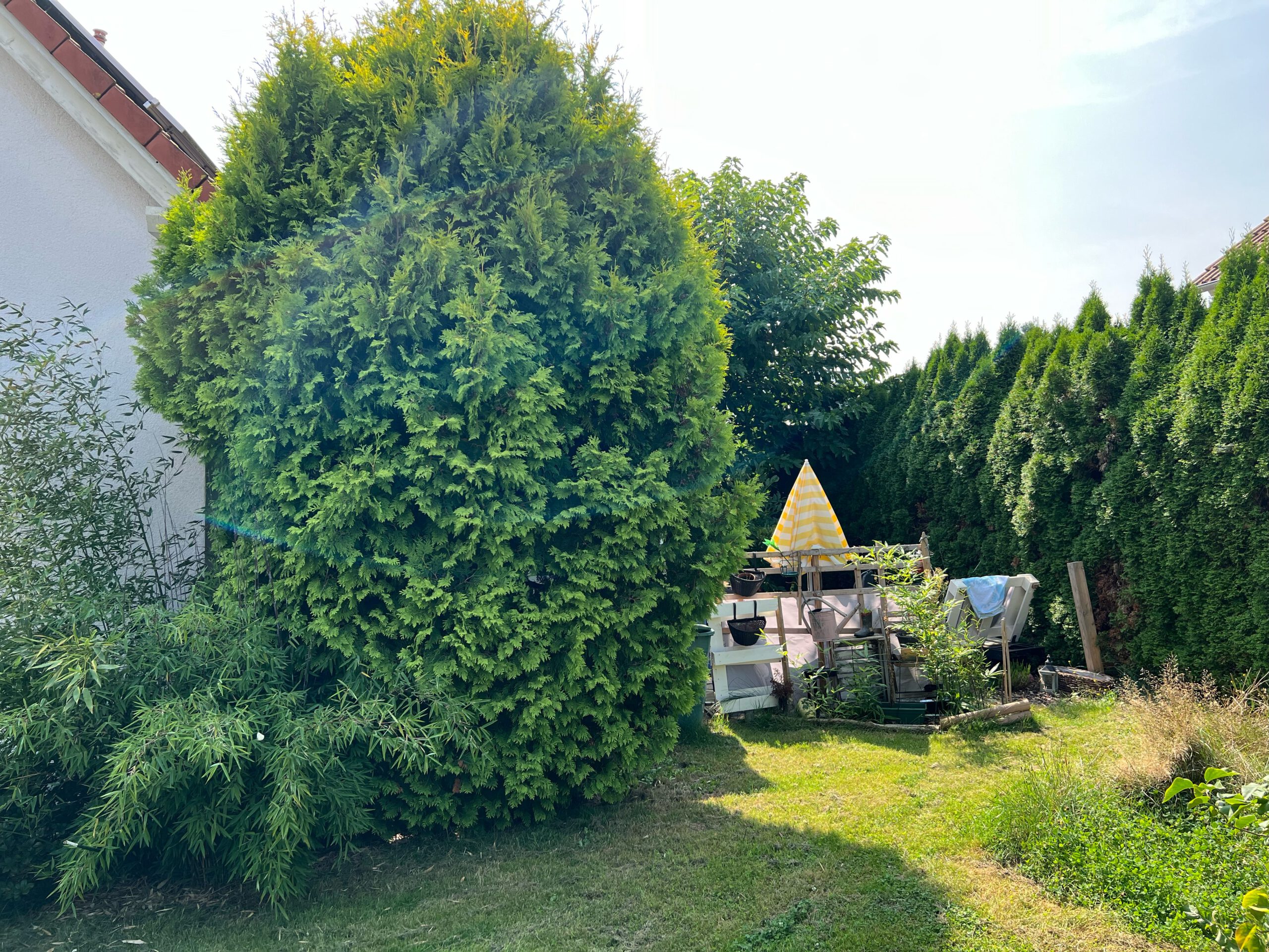 EFH_Colditz_Garten_2